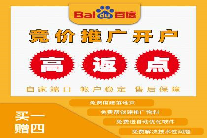 竞价端口开户后的广告投放策略案例